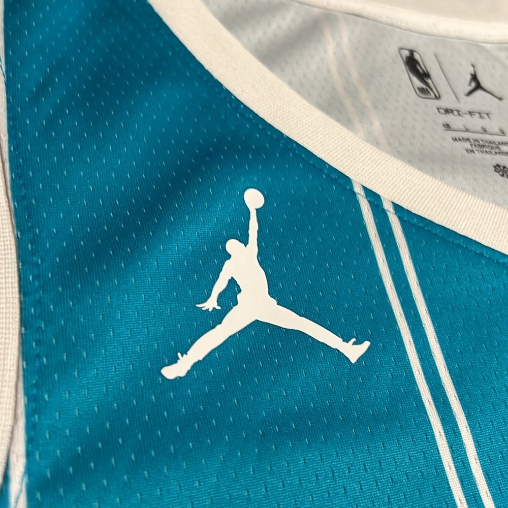 Charlotte Hornets #2 LaMelo Ball NBA Home Swingman Jersey - Picture 4 of 9